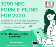 2020 1099 NEC | Fillable 1099 | 1090 Tax Form | 316-869-0948